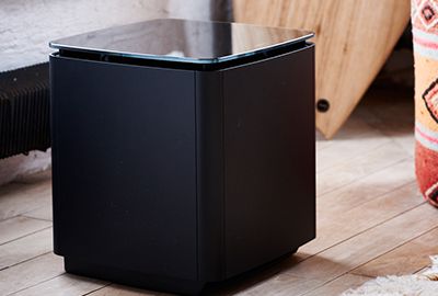 Caisson BOSE ACOUSTIMASS 300