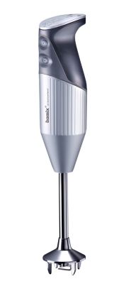 Mixer multi BAMIX M200 Swissline argent
