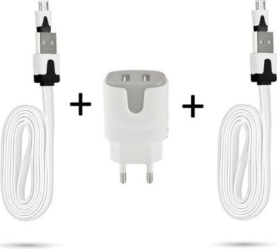 Chargeur secteur SHOT CASE 2 Cables Micro USB Noodle + Prises GRIS