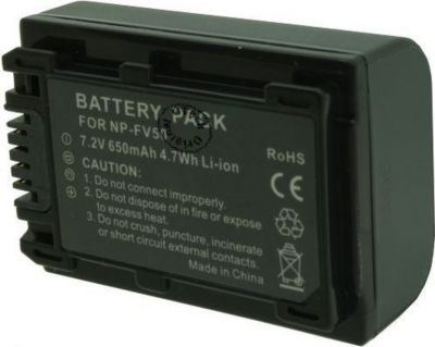 Batterie camescope OTECH pour SONY HDR-CX900E