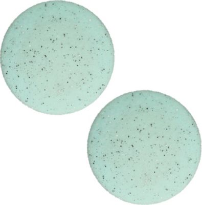 AILORIA LUSTRE Lot de 2 disques de rechange