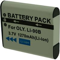 Batterie appareil photo OTECH pour RICOH DB-110
