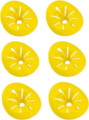 Anti moustique SHOP-STORY Piège à guêpes pour bouteille