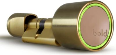 Serrure connectée BOLD Serrure connectée Bold SX-33 - Laiton