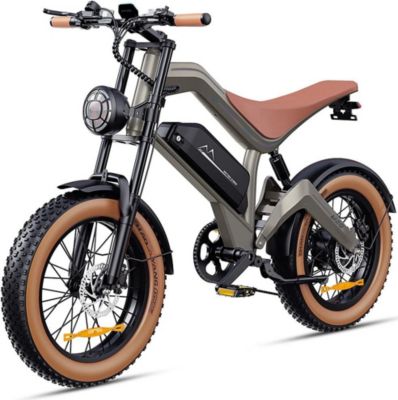 Vélo électrique DYU M20