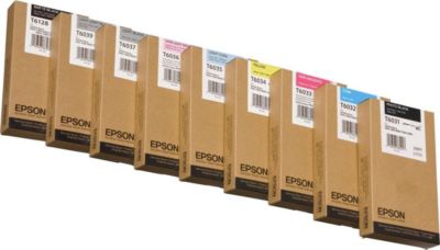 Cartouche d'encre EPSON C13T603500