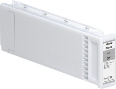 Cartouche d'encre EPSON C13T800900