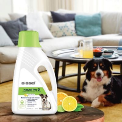 Kit accessoires BISSELL Détergent Wash & Refresh Pet Kit accessoires BISSELL Détergent Wash & Refresh Pet