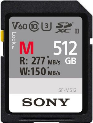 Carte SD SONY 248986