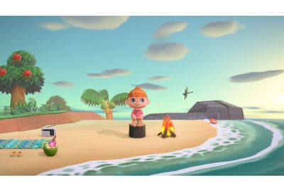 Jeu Switch NINTENDO Animal Crossing : New Horizons