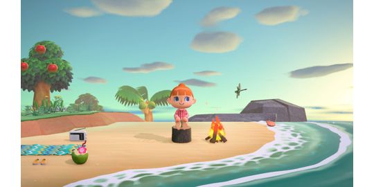 Jeu Switch NINTENDO Animal Crossing : New Horizons