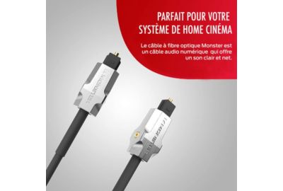 Câble fibre optique MONSTERCABLE M1000 3M