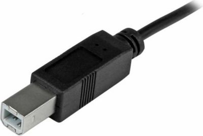 Hub USB C STARTECH USB2CB1M