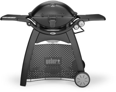 Barbecue gaz WEBER Q 3200 Noir