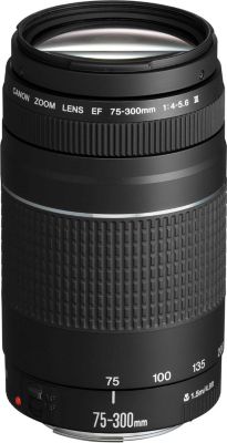 Objectif pour Reflex CANON Canon EF 75-300mm f/4-5.6 III