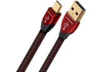 Câble USB AUDIOQUEST Cinnamon USB A vers micro USB (1,5 m)