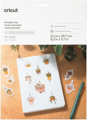 Accessoire Cricut Vinyl A4 10 Feuilles Silver