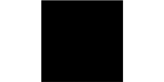 Accessoire CRICUT Thermocollant noir mat