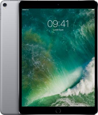 Tablette Apple IPAD Pro 10.5 256Go cel Gris Sidéral Reconditionné