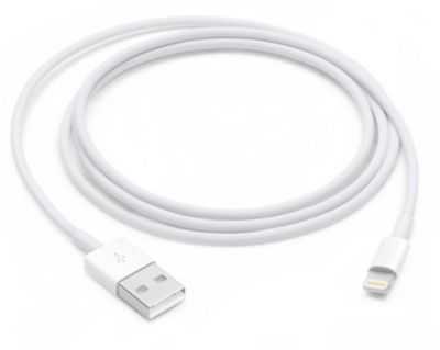 Câble USB APPLE 1M Blanc