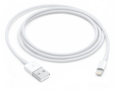 Câble Lightning Blanc Apple Chargeur Iphone 1M