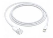 Câble Lightning APPLE vers USB 1m