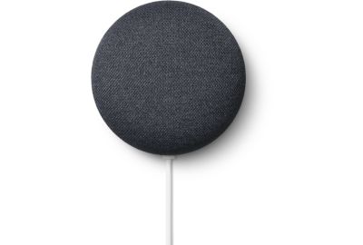 Enceinte Google Nest Mini Audio Galet - Anthracite