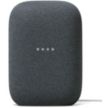 assistant_vocal_google_nest_audio_charbon