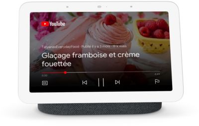 Assistant vocal GOOGLE Nest Hub 2 Charbon