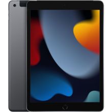 Tablette Apple IPAD New 10.2 256Go Gris sideral Cellular
