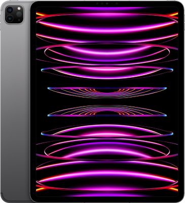 Tablette Apple IPAD Pro 12.9 M2 2To Gris sidéral Cellular Reconditionné