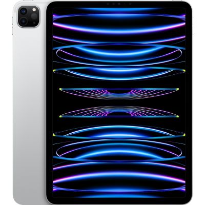 Location Tablette Apple Ipad Pro 11 M2 2To Argent