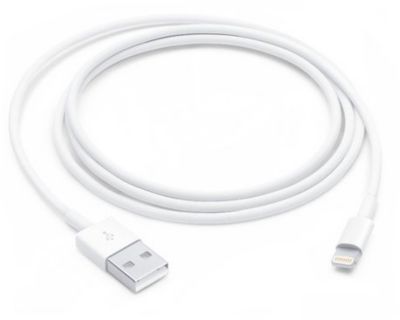 Câble Lightning APPLE Lightning vers USB 1m