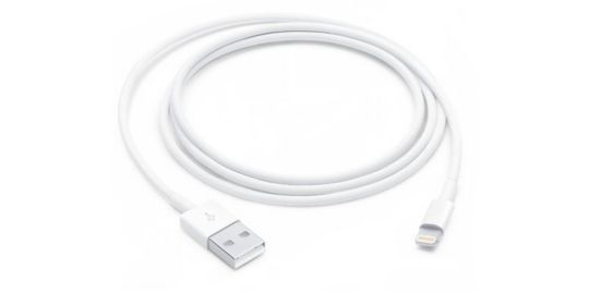 Câble Lightning APPLE Lightning vers USB 1m