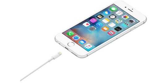 Câble Lightning APPLE Lightning vers USB 1m