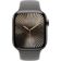 Location Montre connectée APPLE WATCH Serie 10 46mm Titane Naturel M/L Cell 