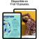 Location Tablette Apple IPAD Air 11 M3 256Go Bleu Cellular 2025