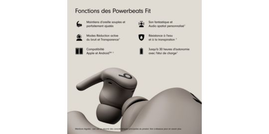 Ecouteurs sport BEATS Powerbeats Fit Gris
