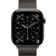 Location Montre connectée APPLE WATCH 46mm Tit Ardoise Milan Serie 11 M/L Cell