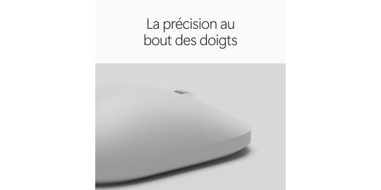 Souris sans fil MICROSOFT Surface Accy Project BB Platinum
