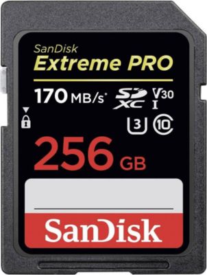 Carte SanDisk 256 Go Extreme microSDXC, adaptate…