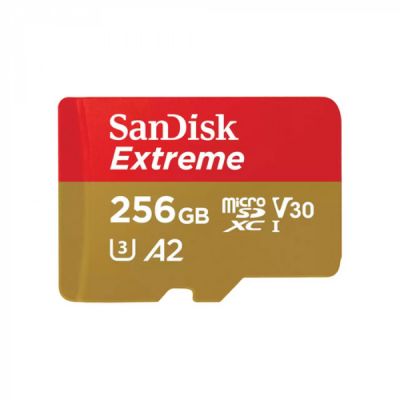 Carte Micro SD SANDISK 256GO Extreme microSD Carte Micro SD SANDISK 256GO Extreme microSD