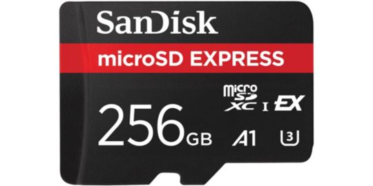 Carte Micro SD SANDISK 256Go Express