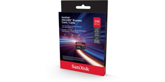 Carte Micro SD SANDISK 256Go Express