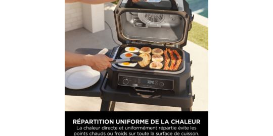Plancha pour barbecue NINJA electrique 26435750