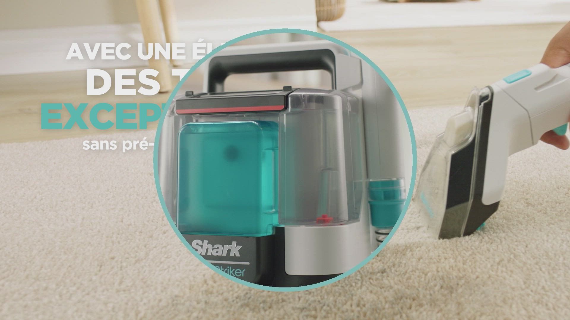 SHARK StainStriker PX200EUT fläckborttagare - Tar bort, rengör och