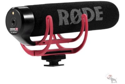 Micro RODE VideoMic Go