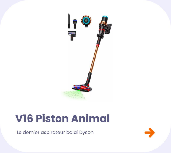 Aspirateur balai DYSON V16 Piston Animal 