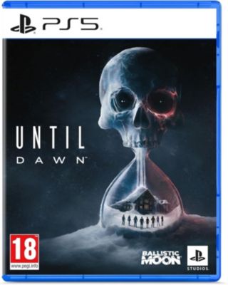 Jeu PS5 SONY UNTIL DAWN
