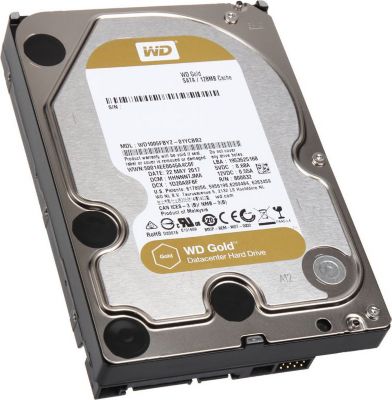 Disque dur interne WESTERN DIGITAL Disque Dur Western Digital Gold, SATA 6G